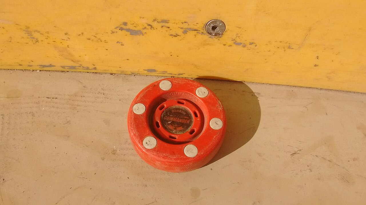 Photo 3: Practice pucks, twelve