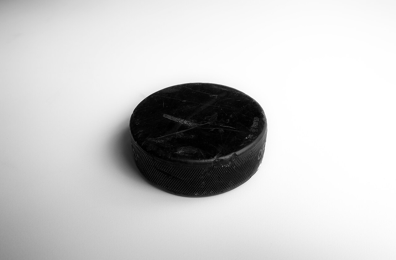 Photo 2: Practice pucks, twelve