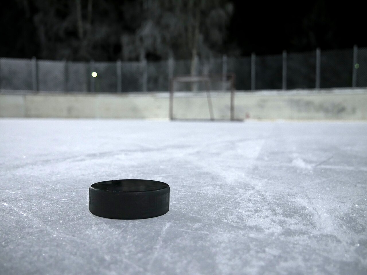 Billede 2: Weighted training puck